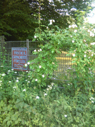 Schild am Zaun-geräucherte und frische Forellen
