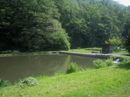 Blick auf Teich 2