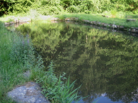der kleinste Teich