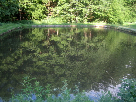 Blick auf Teich 2