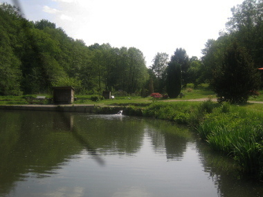 Blick auf Teich 2