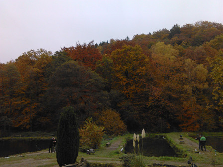 Teich 1 Teich 1-der größte Teich