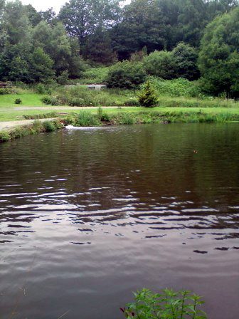 Blick auf Teich2