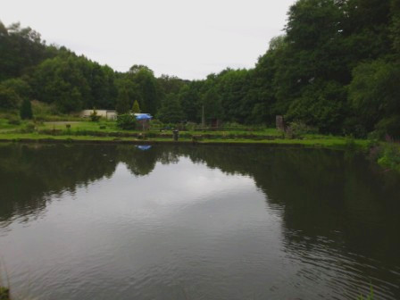 Angler beim nachtangeln an Teich 1