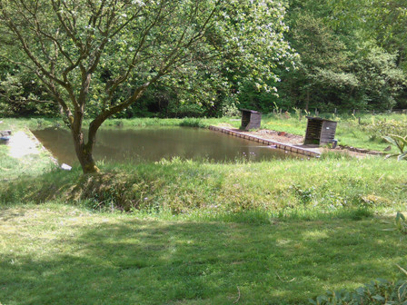 Teich 1 Teich 1-der größte Teich